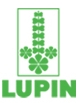 Lupin